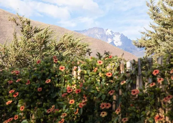 Stunning 1br House In Camino Real Holiday home *